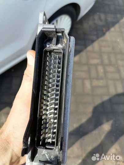 Эбу мозги 2104