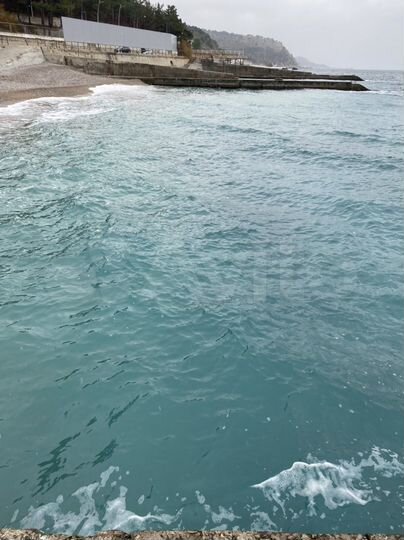 Комната 24 м² в 1-к., 1/1 эт.