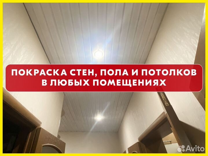 Покраска стен, полов, потолков