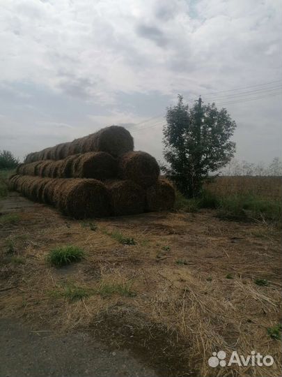 Солома в рулонах