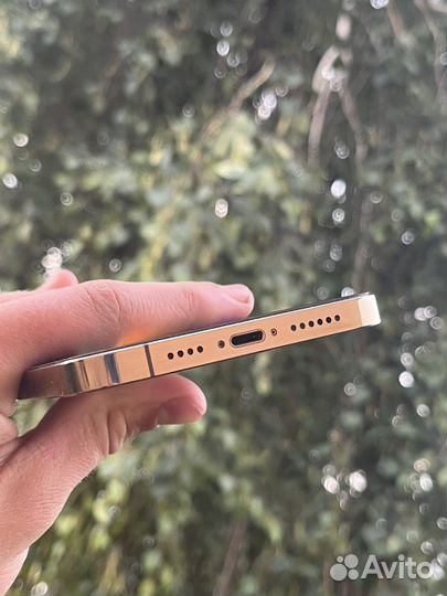 iPhone 12 Pro Max Gold