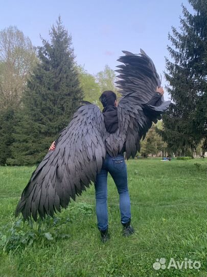 Крылья (аренда)