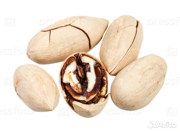 Пекан орех в скорлупе