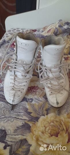 Коньки risport rf2 super