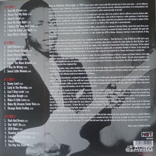 Elmore James - The Definitive Elmore James (2 lp)