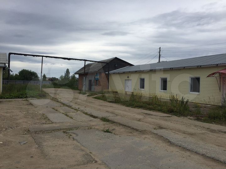 Торговая площадь, 146.5 м²