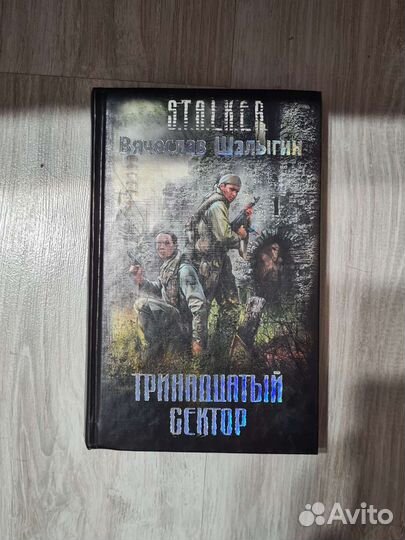 Вячеслав Шалыгин. Сталкер. тринадцатый сектор