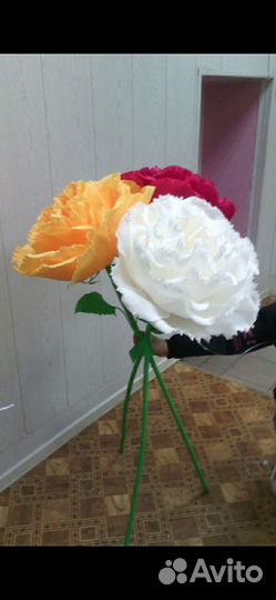 Ростовые цветы,поделки,топиарии