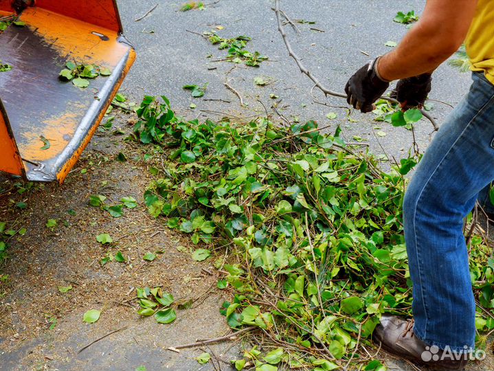 Измельчитель веток, дробилка, аренда. Все включено