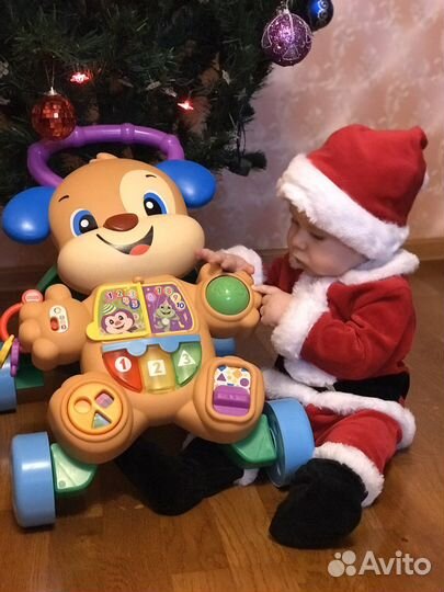 Ходунки каталка Fisher Price Ученый щенок