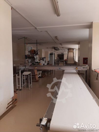 Производство вафель и бисквитов из ес