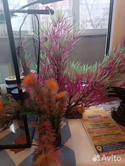 Аквариум для рыб