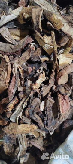 Сушеные грибы