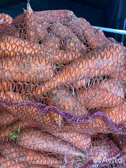 Овощи оптом/розница доставка для хранения