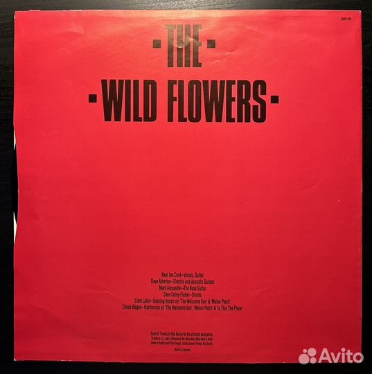The Wild Flowers – Sometime Soon (Англия 1988г.)