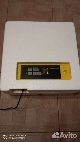 Инкубатор для яиц автоматический бу