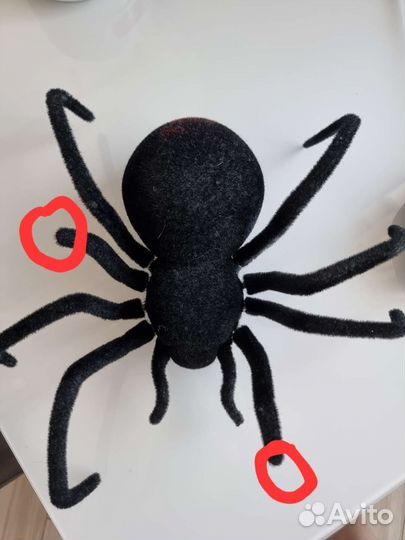 Паук на пульте