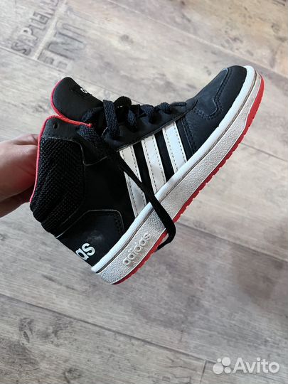 Adidas 31