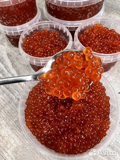 Красная икра, икра кижуча, камчатская 2022