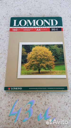 Фотобумага Lomond, А4