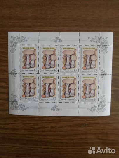 Марки листы 5шт грибы