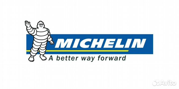Michelin FMW10670 ремень грм комплект