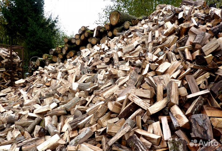 Дрова не гнелые