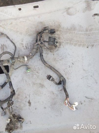 Проводка двигателя Nissan Qashqai MR20 2011