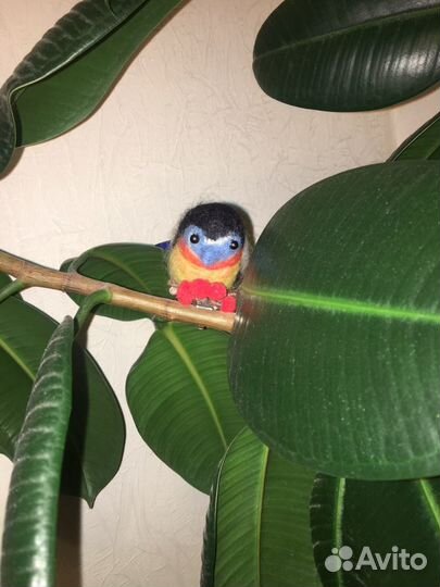 Птичка из шерсти на прищепке