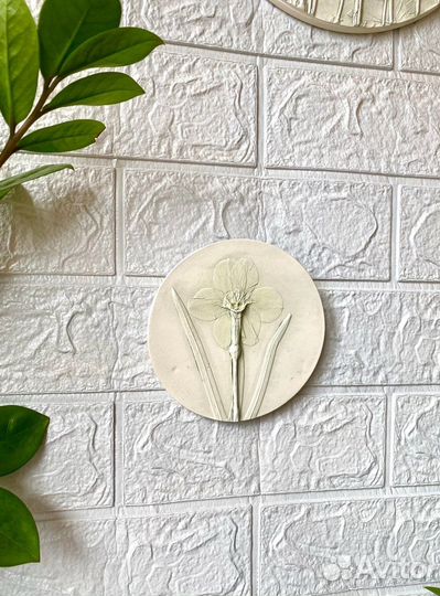 Ботанический барельеф