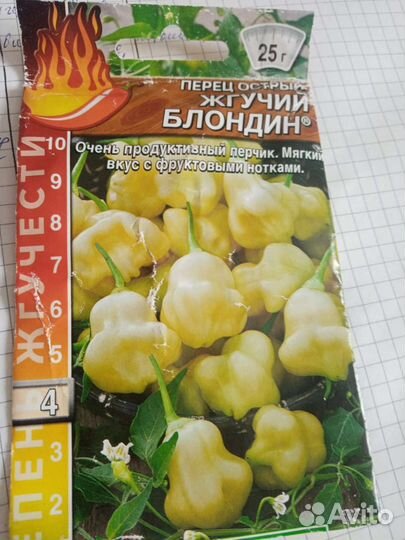 Рассада острого перца