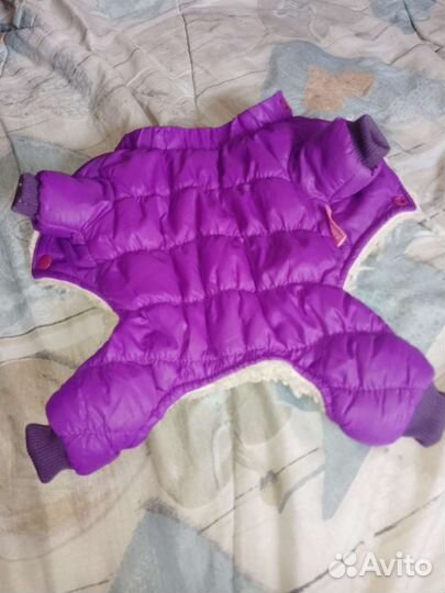 Комбенизон для животных