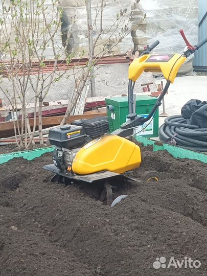 Мотоблок культиватор в аренду