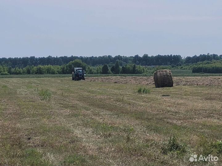 Сено в тюках