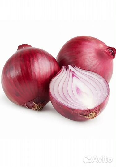 Лук ялтинский семена