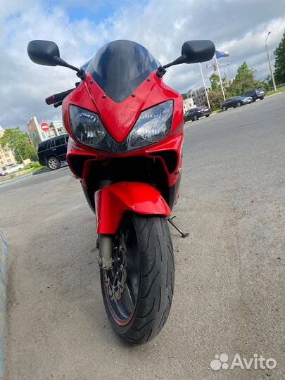 Honda cbr 600 f4i sport
