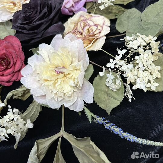 Набор сухоцветов