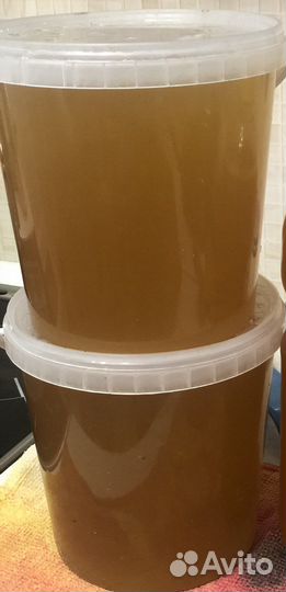 Липовый мед 2023