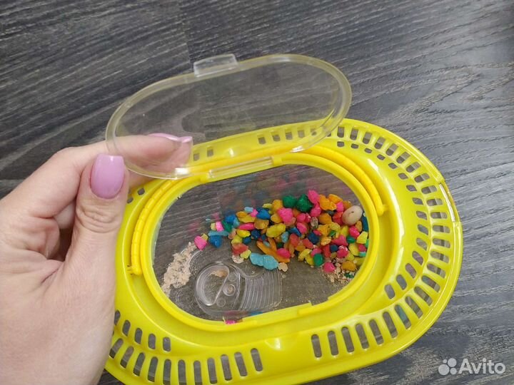 Контейнер для переноски (перевозки)