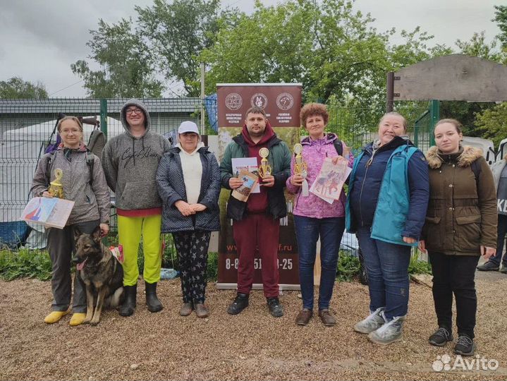 Курсы дрессировки собак / Кинолог