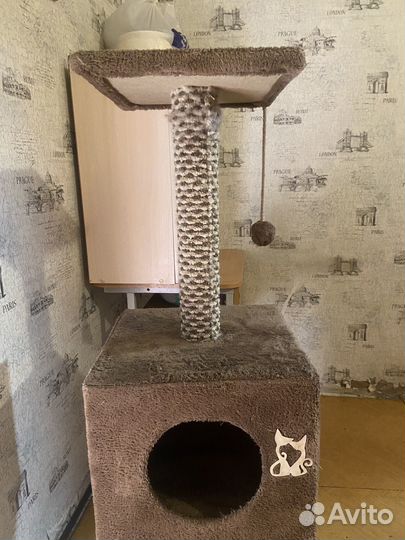 Когтеточка домик для кошки бу