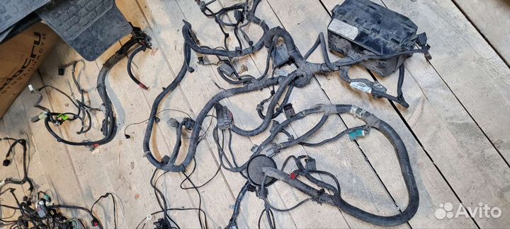 Проводка коса Ford Focus 1