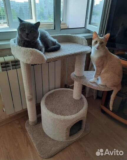 Уютный домик с лежанкой и когтеточкой