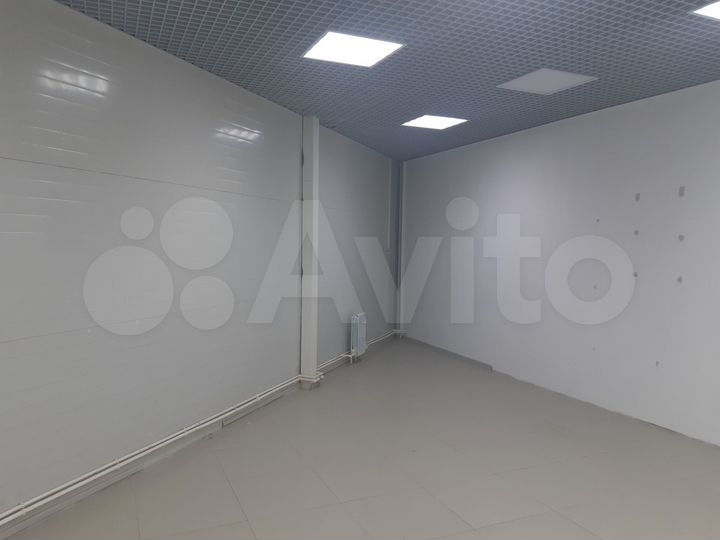 Торговая площадь, 56.4 м²