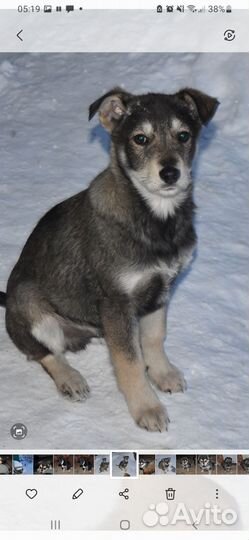 Мальчишки, 3,5месяца