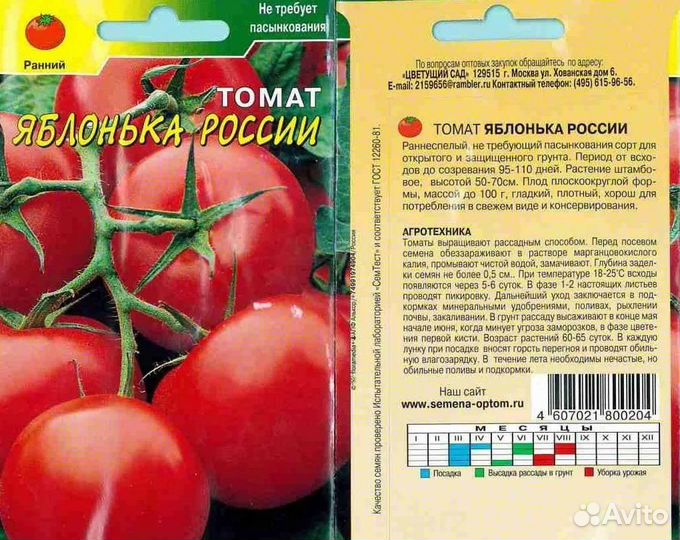 Рассада помидор, огурцов, кабачков, тыквы