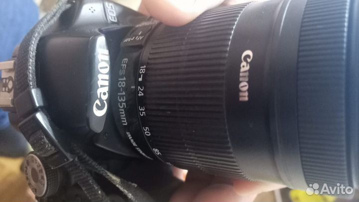 Canon eos 500d / DS126231