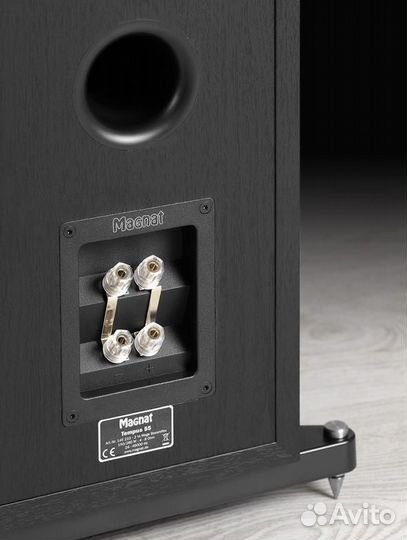 Напольная акустика Magnat Tempus 55 black