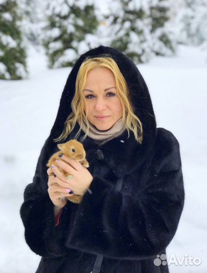 Супер мини кролики