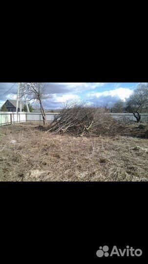 Профессиональный Спил Деревьев